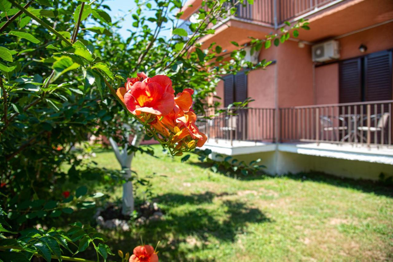 Costas Apartments 梅松吉 外观 照片